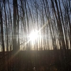 Meet your Posher, Tiff